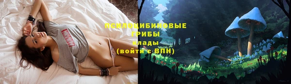 синтетический гашиш Каменск-Шахтинский