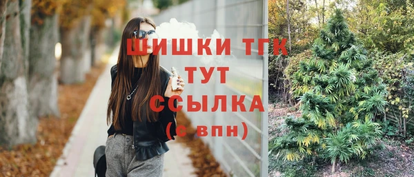 mdma Каменка