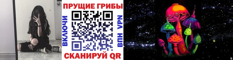 Псилоцибиновые грибы ЛСД  Купить где  Гаврилов Посад 